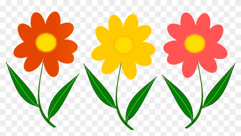 Trois Fleurs, Plantes, Image Vectorielle - Vector Png Flower Png #433230