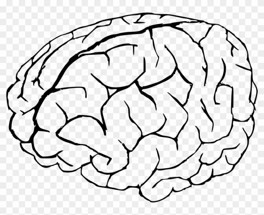 Pin Brain Clipart No Background - Brain Coloring Page #433604