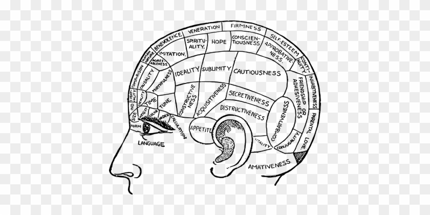 Brain Chart Diagram Face Fringe Phrenology - Black And White Brain Diagram #433611