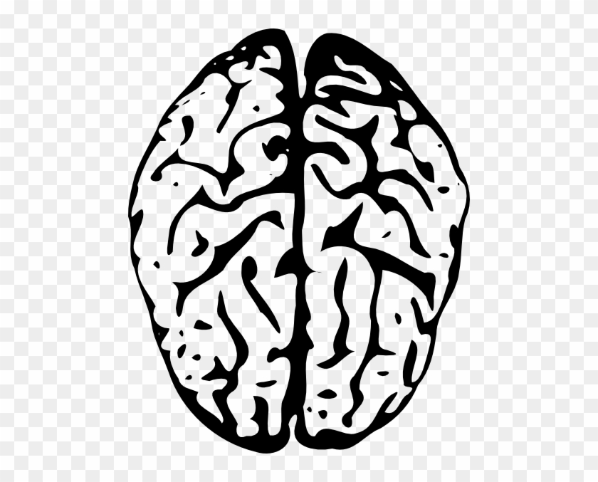 Brains Clipart Line Drawing - Мозг Вектор Png #433614