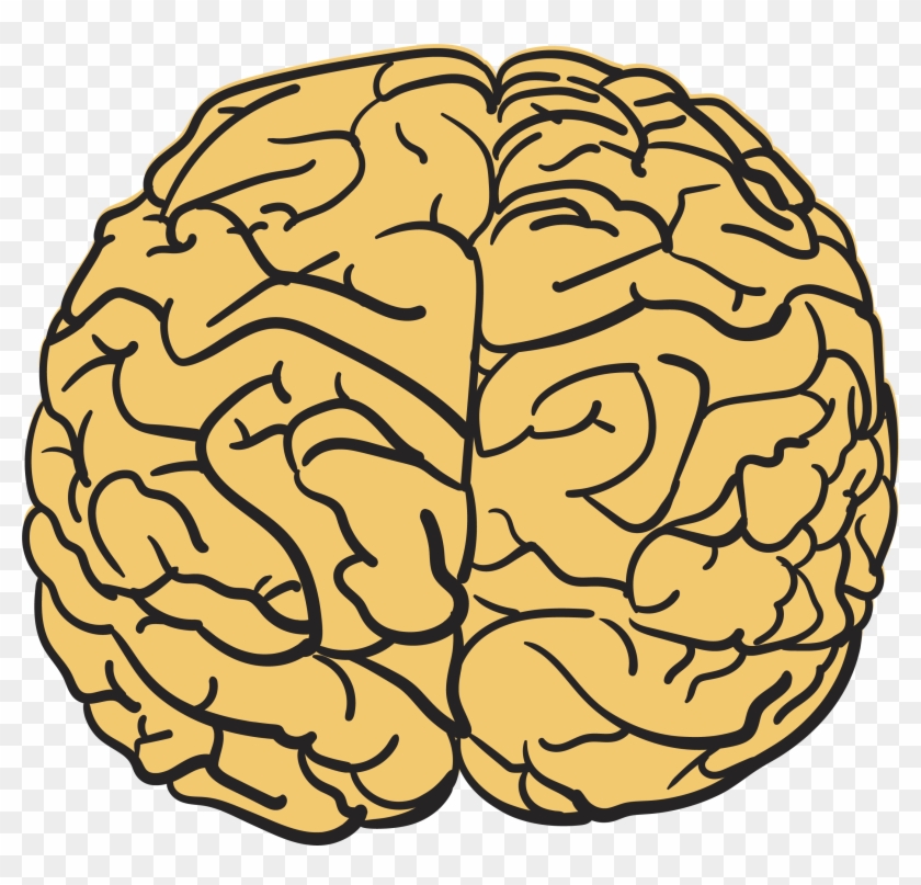 Human Brain T Shirt Agy Drawing - Dibujo Cerebro Png #433620