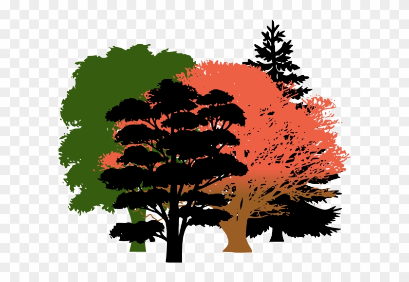Get Free High Quality Hd Wallpapers Oak Tree Silhouette - Woods Clip Art #433630