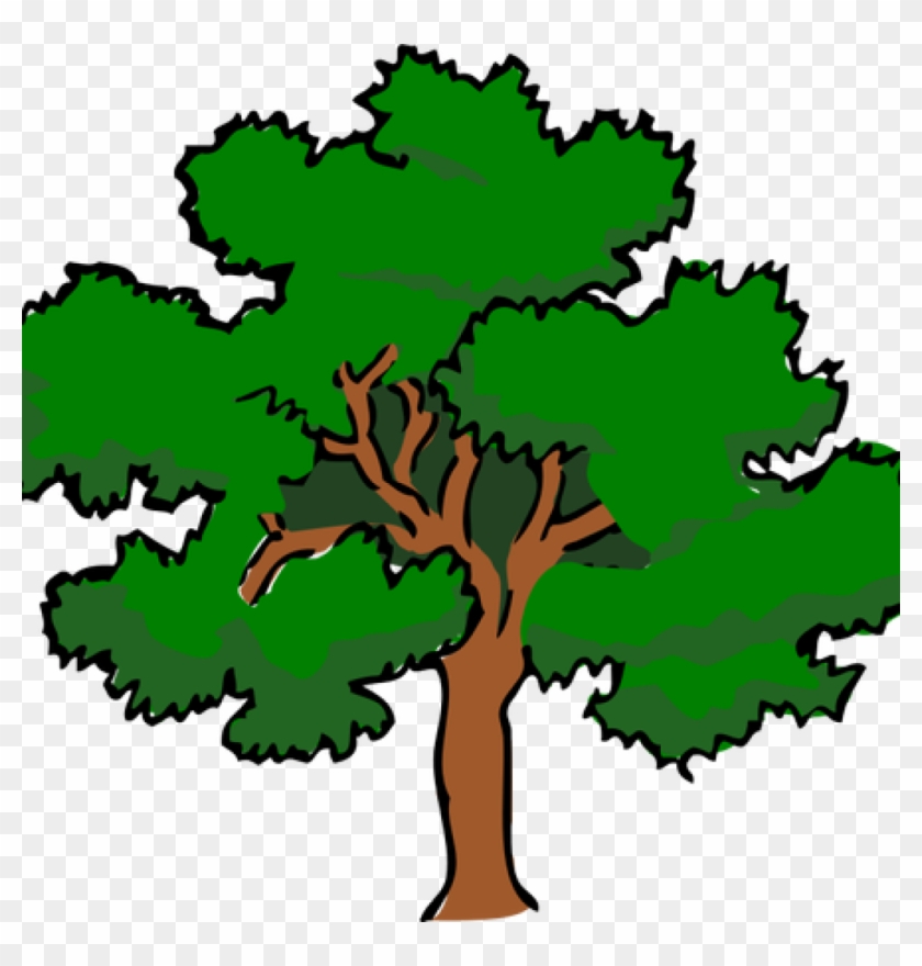 Oak Tree Clip Art Vector Clip Art Of Oaktree With Wide - Prime Factorization Of 92 #433719