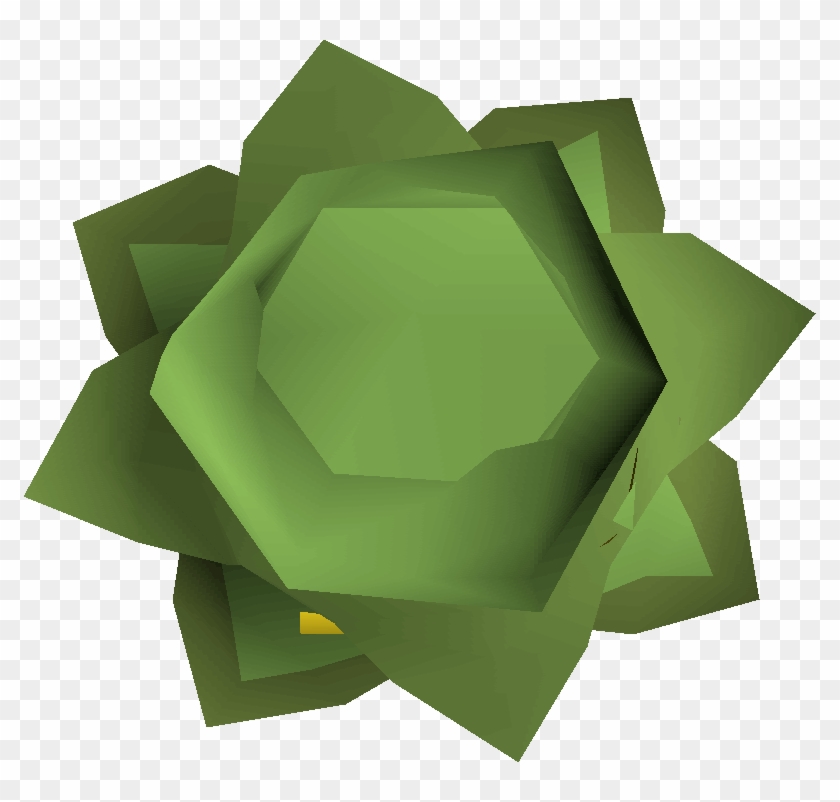 Cabbage Round Shield Detail - Old Cabbage Runescape #433783