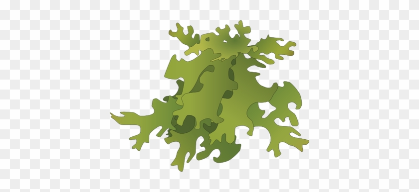 Lichen Clipart Moss Clipart - Lichen Clipart #433944