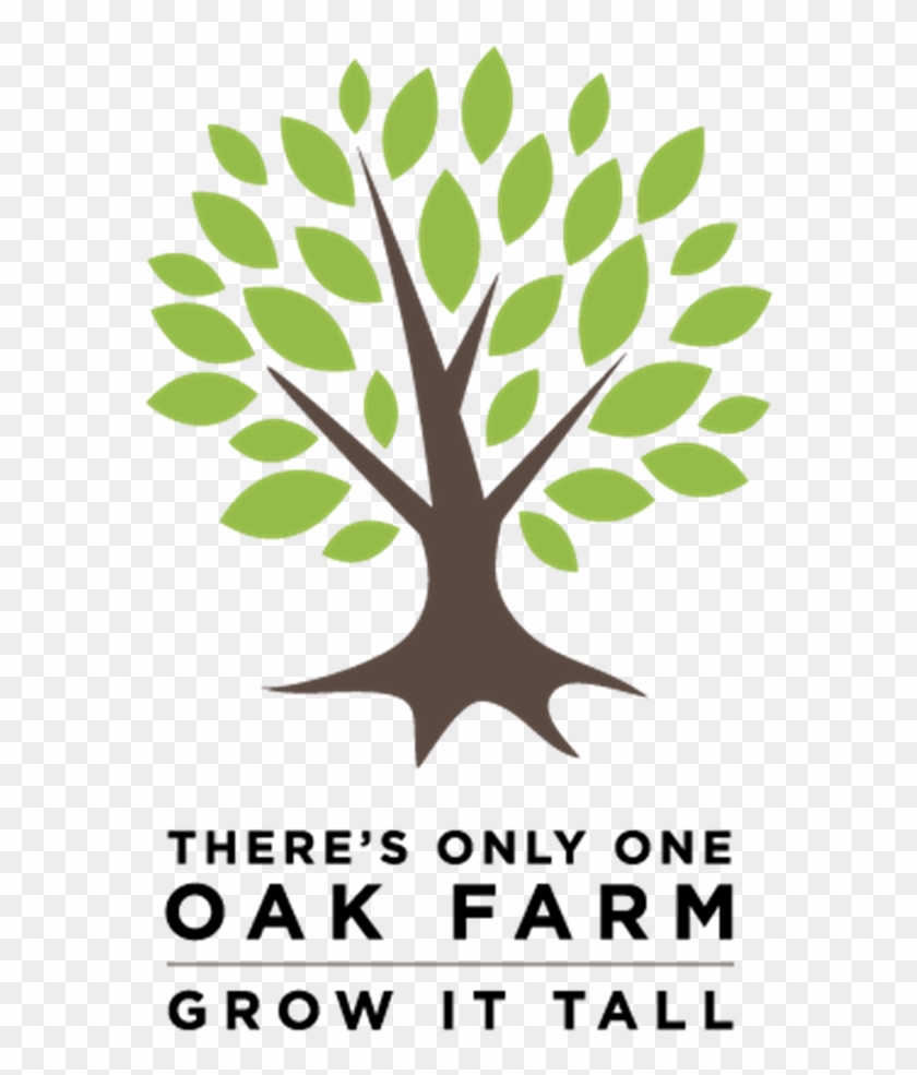 Tall Oak Tree Fund Graphic - Zumanity #433967
