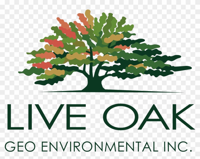 Live Oak Geoenvironmental - Live Oak Bank Logo #433992