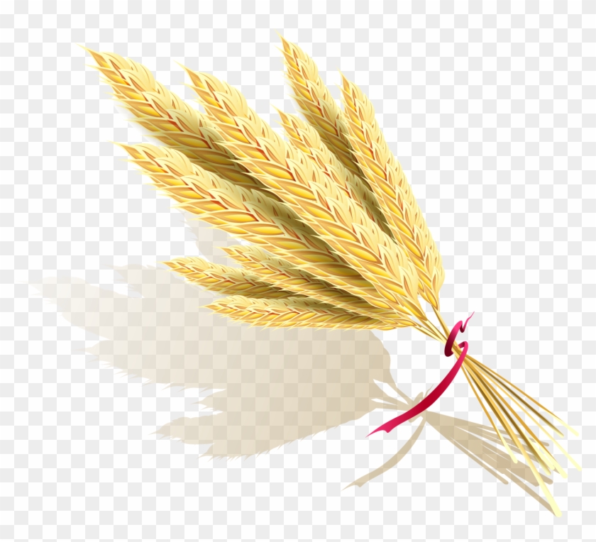 Download Png - Rice #434238