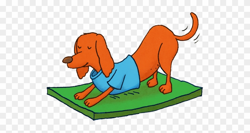 Doggy Yoga - Alpine Dachsbracke #434288