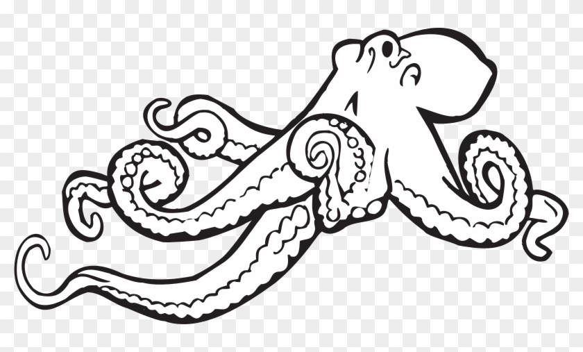 320 × 171 Pixels - Octopus Black And White #434314