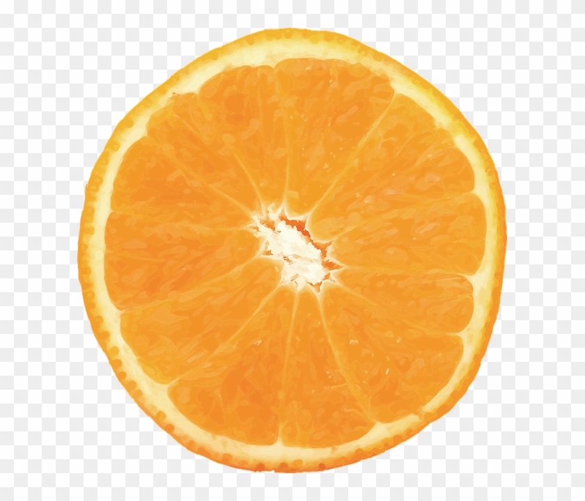 Orange, Vector, Fruit, Citrus, Food, Valencia - Orange Fruit #434326