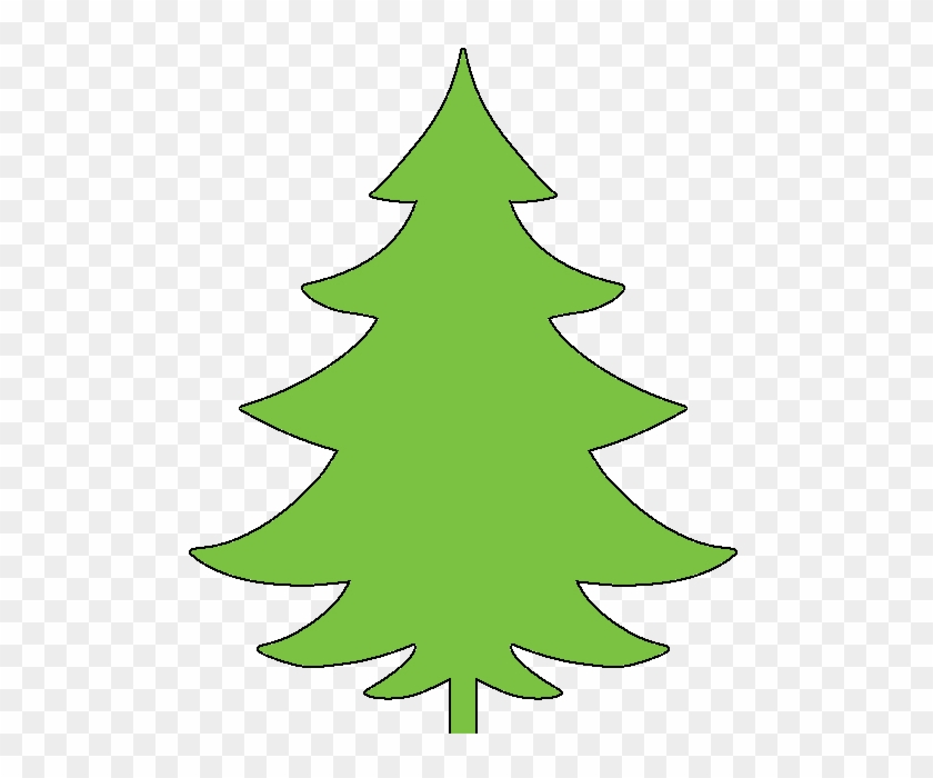 Tree - Tree #434405