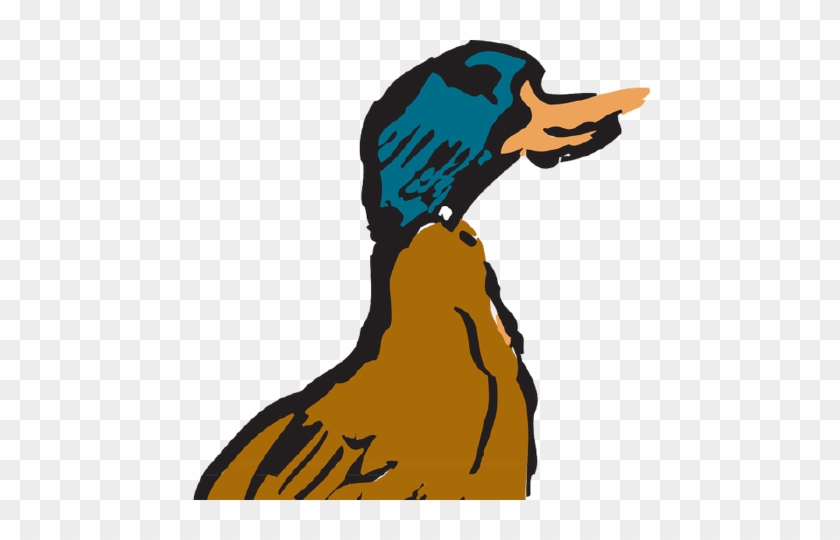 Duck #434420