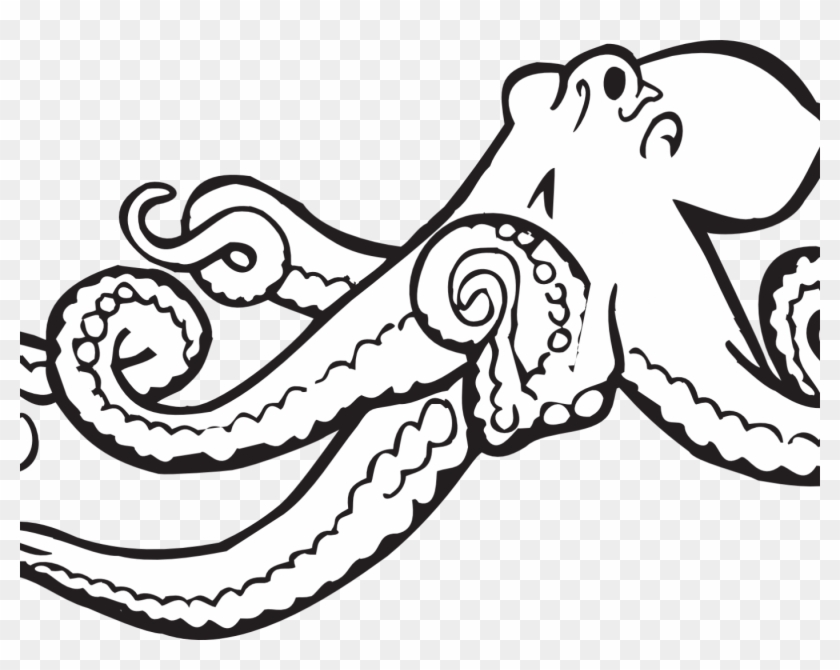 Alphabet O Is For Octopus Coloring Page Free Printable - Realistic Octopus Coloring Page #434425
