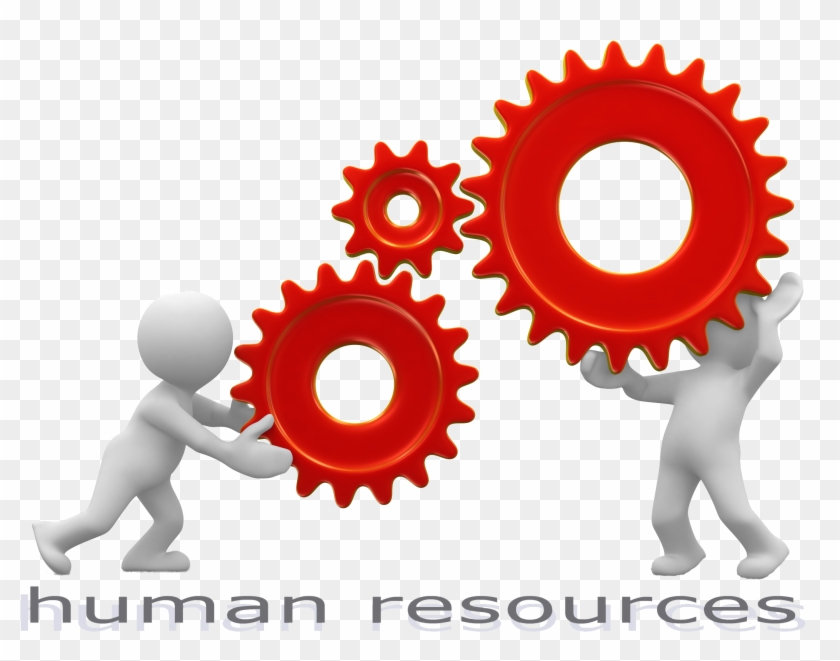 Hr Clip Art Design Medium Size - Human Resource Management Clipart Png #434481