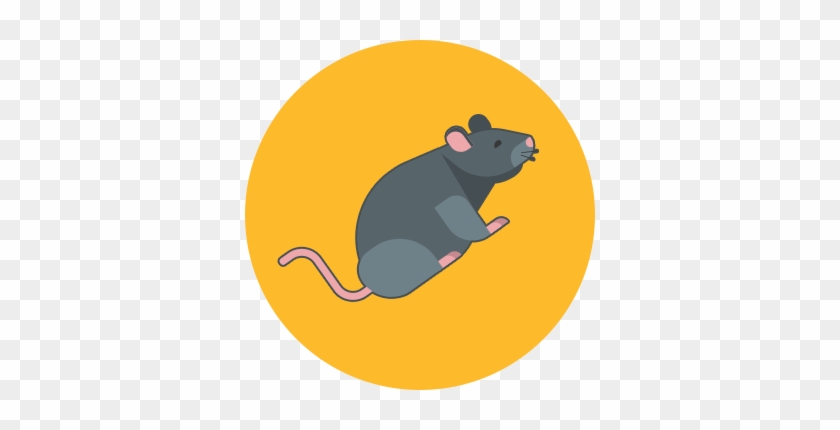 Trash Bin Cleaning Rodents - Icon Akustik Png #434501