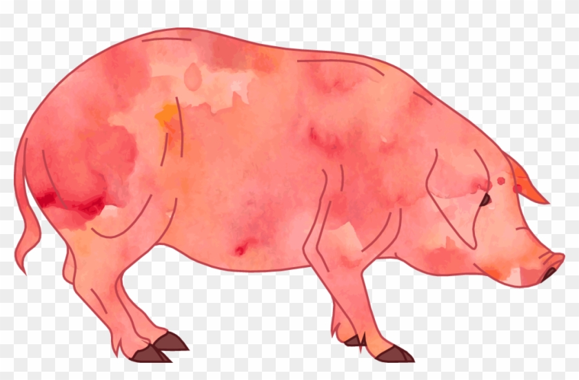 Pig Cartoon Clip Art - Watercolor Pig Transparent #434604