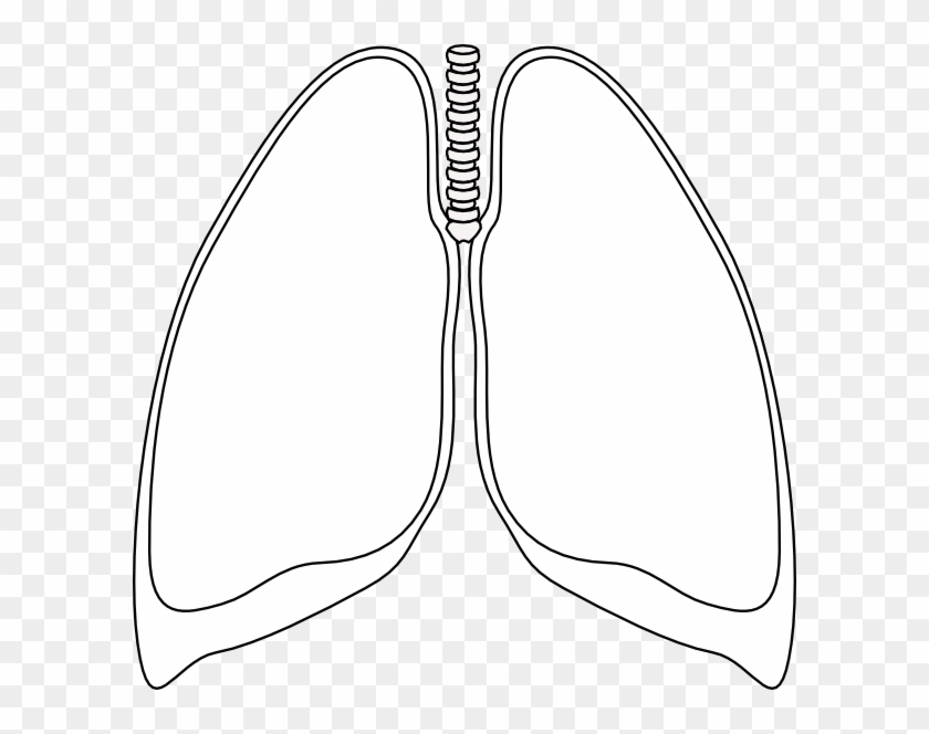 Lung Clear Lung Clip Art At Clker - Clip Art #434622