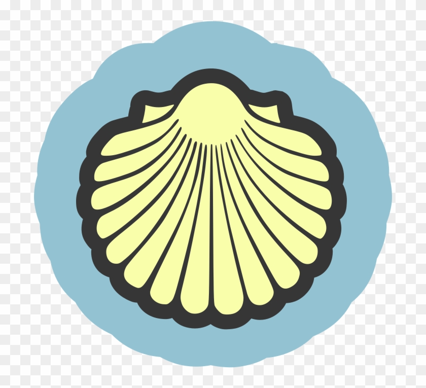 Medium Image - Scallop Shell Clip Art #434626