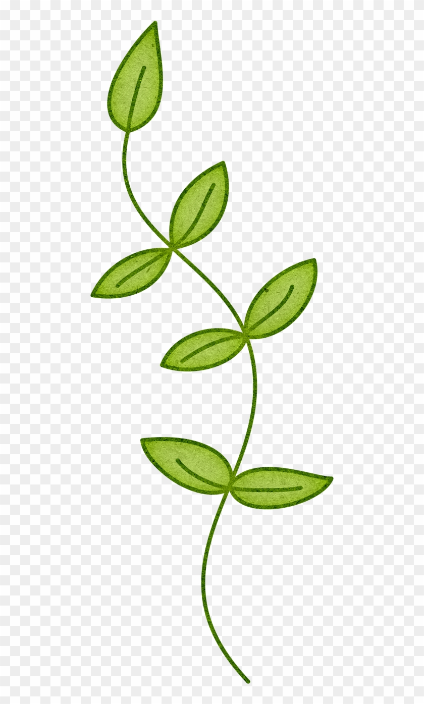Branch Plant Stem Leaf Clip Art - Branch Plant Stem Leaf Clip Art #434935
