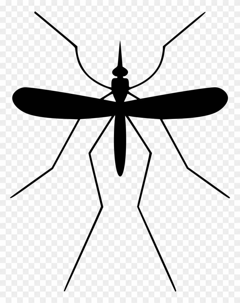 Mosquito Midge Komar Gnat Comments - Komar Png #435068