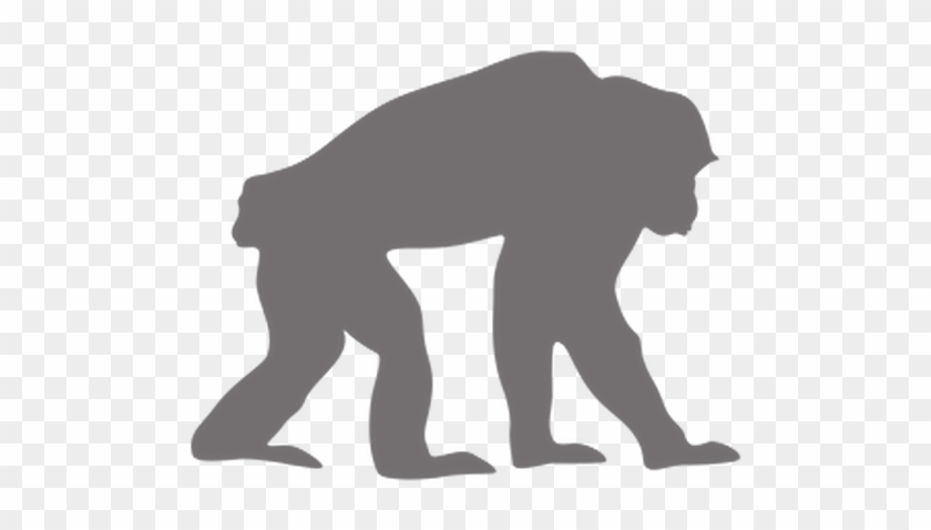 Chimpanzee - Silhouette #435088