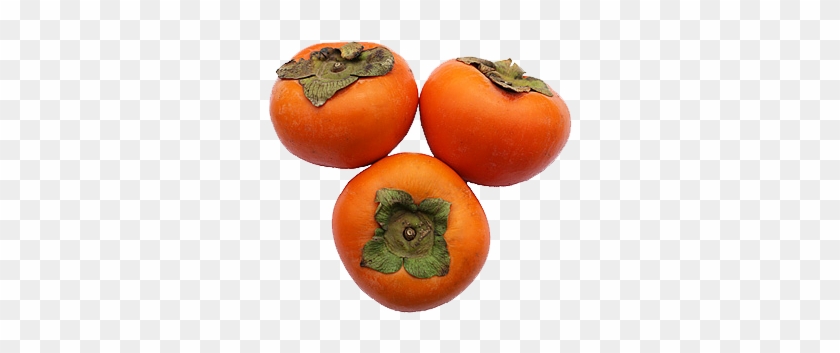 Persimmon Png Clipart - Persimmon Png Transparent #435106