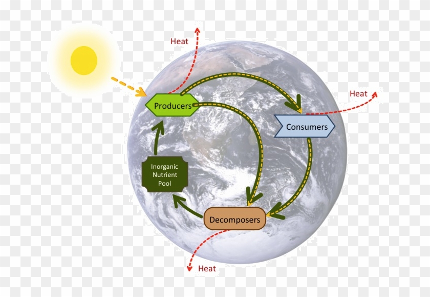 Construct A Diagram Of The Oxygen Carbon Dioxide Cycle - Planet Earth From Space Mag-neato's Automotive Car #435108