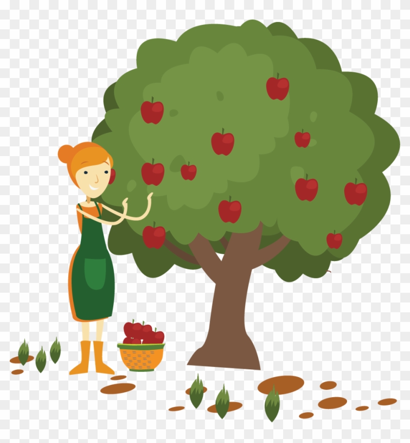 Apple Fruit Picking Clip Art - Cartoon Pick Apples #435180