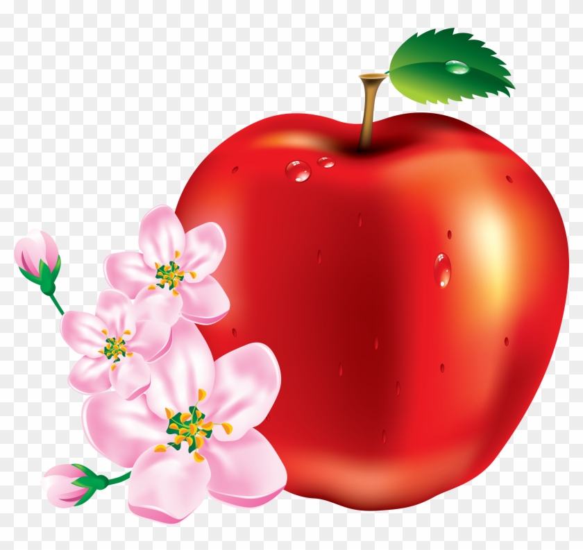 Apple Images Download #435267