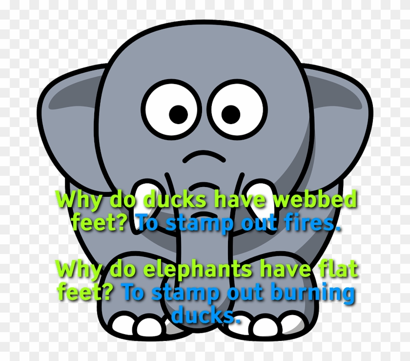 Why Do Ducks Have Webbed Feet To Stamp Out Fires - Elephant Toothpaste #435392