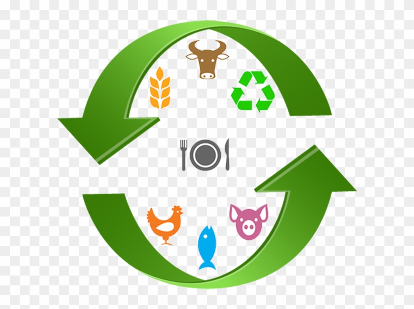 The Circular Economy - Corporation #435421