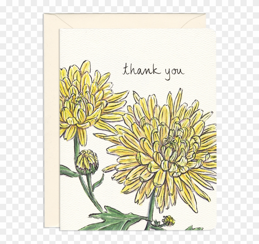 Chrysanthemum Thank You - Greeting Card #435454