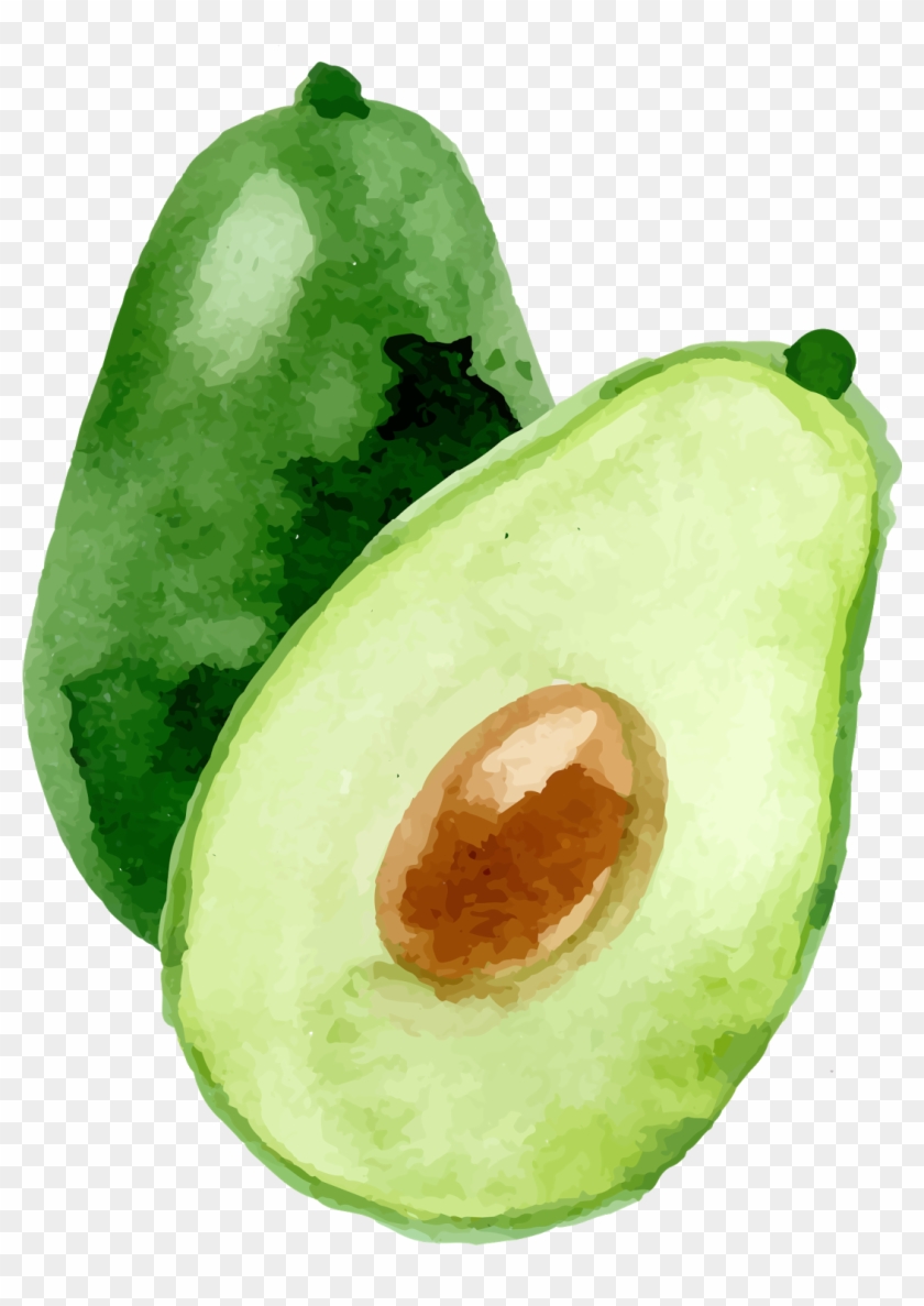 Avocado Watercolor Painting - Avocado Watercolor Painting #435709