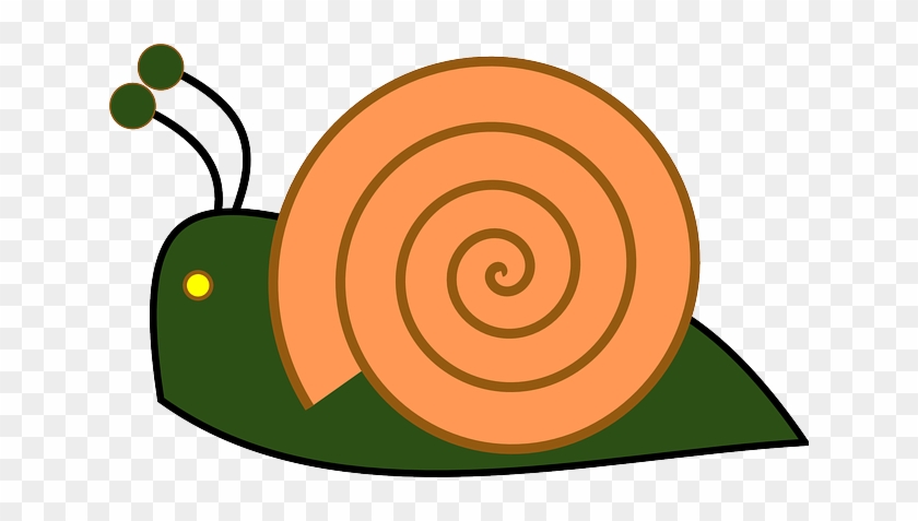 Snail, Insect, Shell, Slow, Slug, Slither, Slimy - Caracol Clip Art #435640