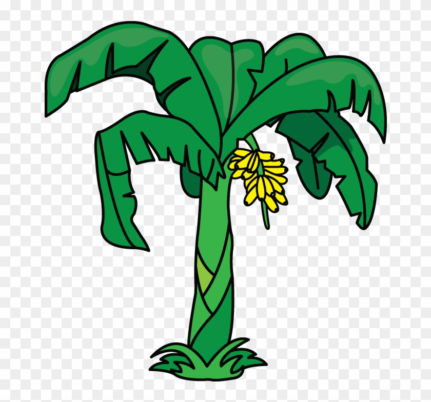 Another Tutorial In Flowers And Plants Category Is - Drawing Of A Banana Tree #435690