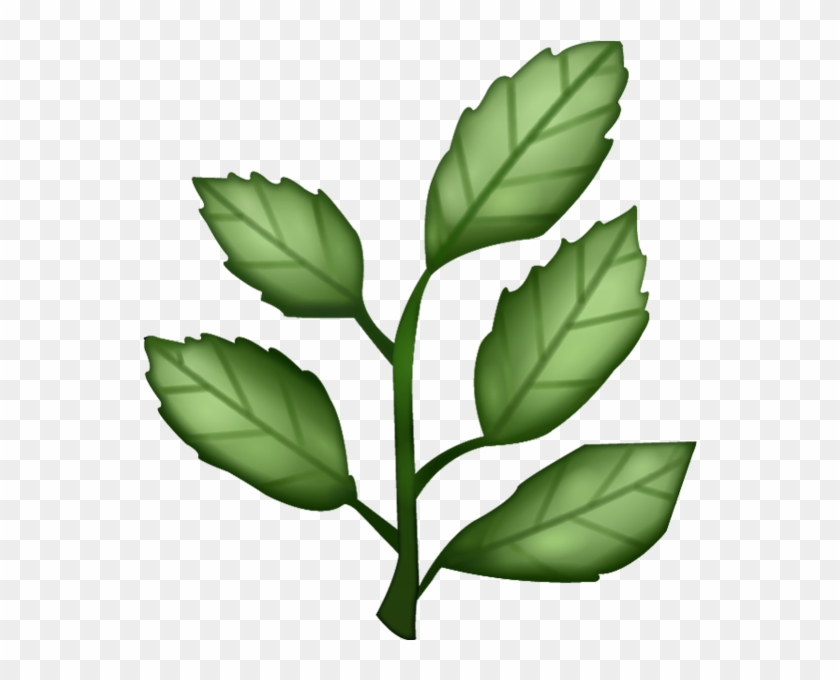 Herb Png Clipart - Herb Emoji #435726