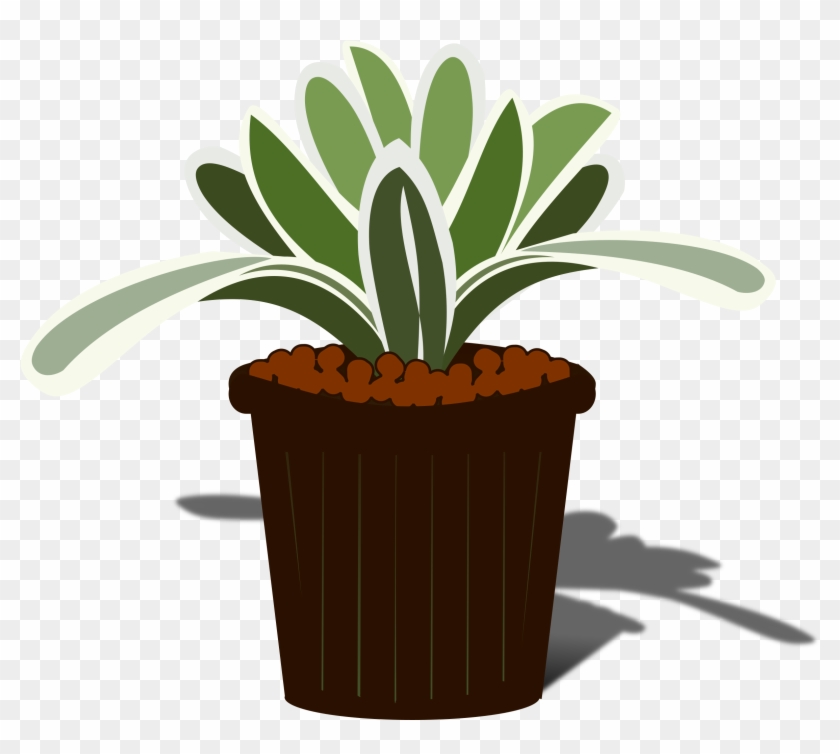Big Image - Bromeliads #435767