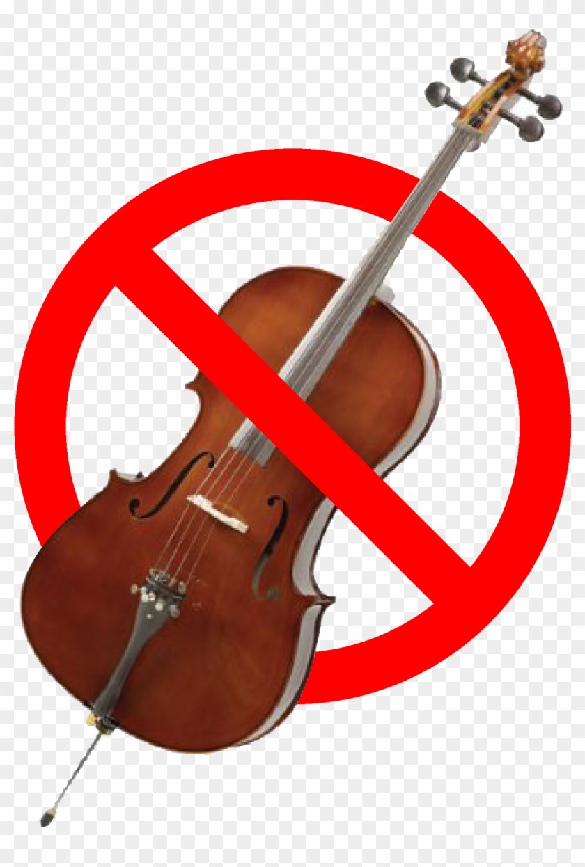 Delta Air Lines Recently Banned Solo Cellist Lynn Harrell - Most Expensive Cello #435889