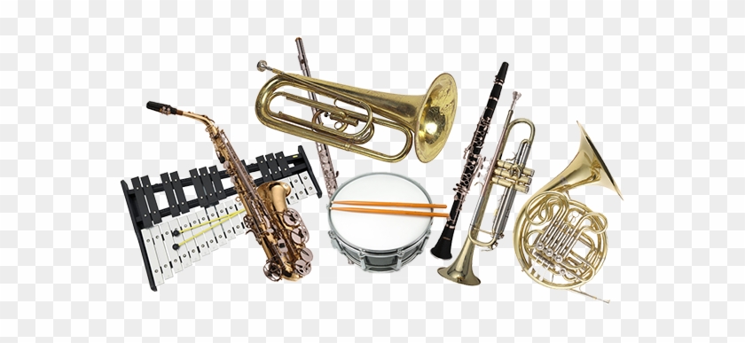 Music Time Academy Offers Instrument Rentals At Competitive - Instruments Of The Orchestra #435951
