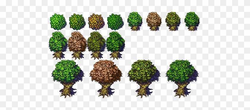 Tree Variations From Jetrel's Wood Tileset Opengameart - Top Down Tree Sprite #435965