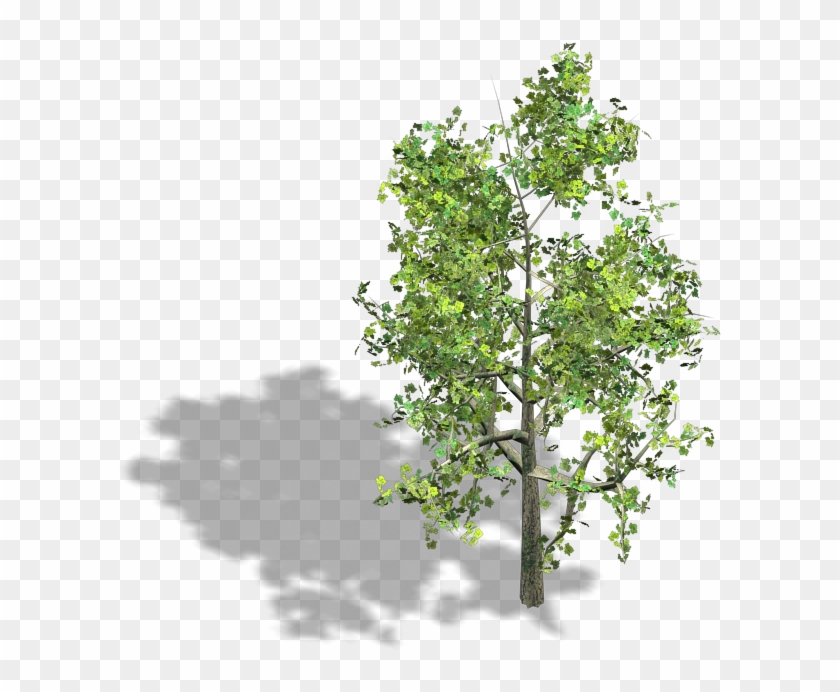 Tree Wood Axonometric Projection Isometric Projection - Isometric Tree Png #435986