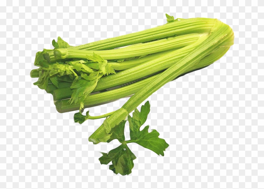 Ingredients - Celery Png #435990