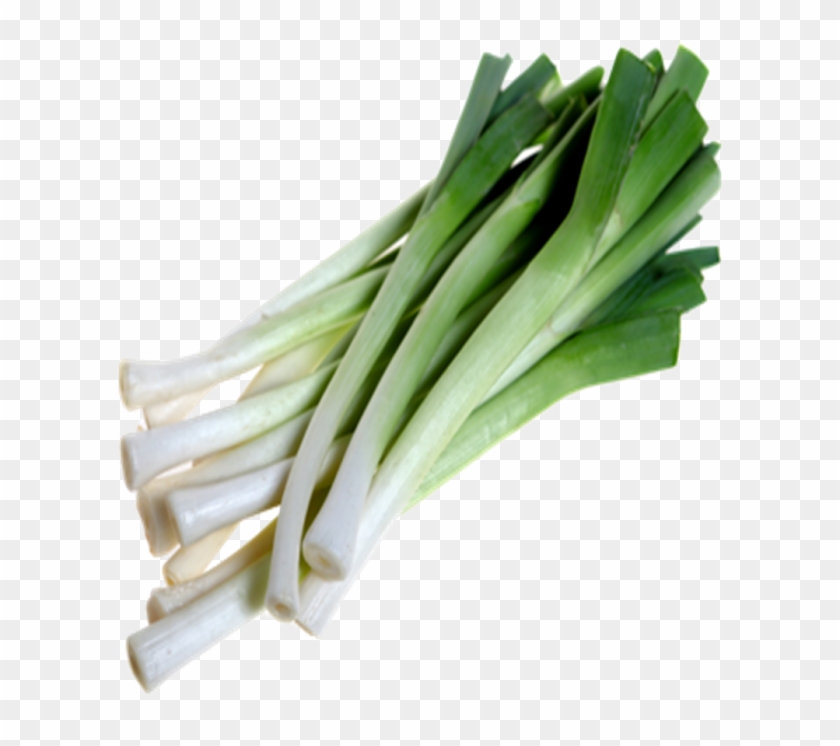 Ingredients - Welsh Onion #436011