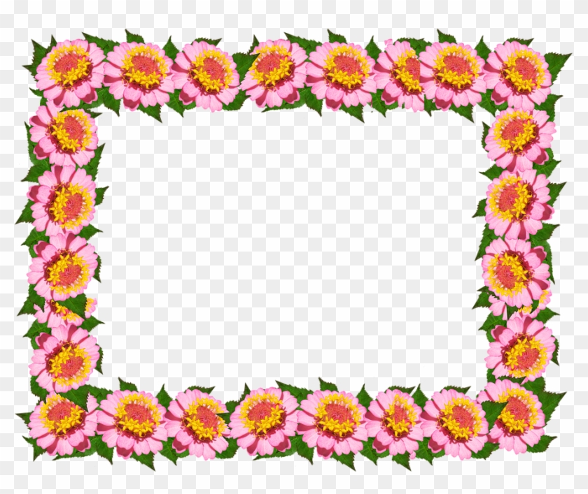 Frame, Border, Pink Floral, Decoration - Tulip Colorful Flower Frames And Borders #436041