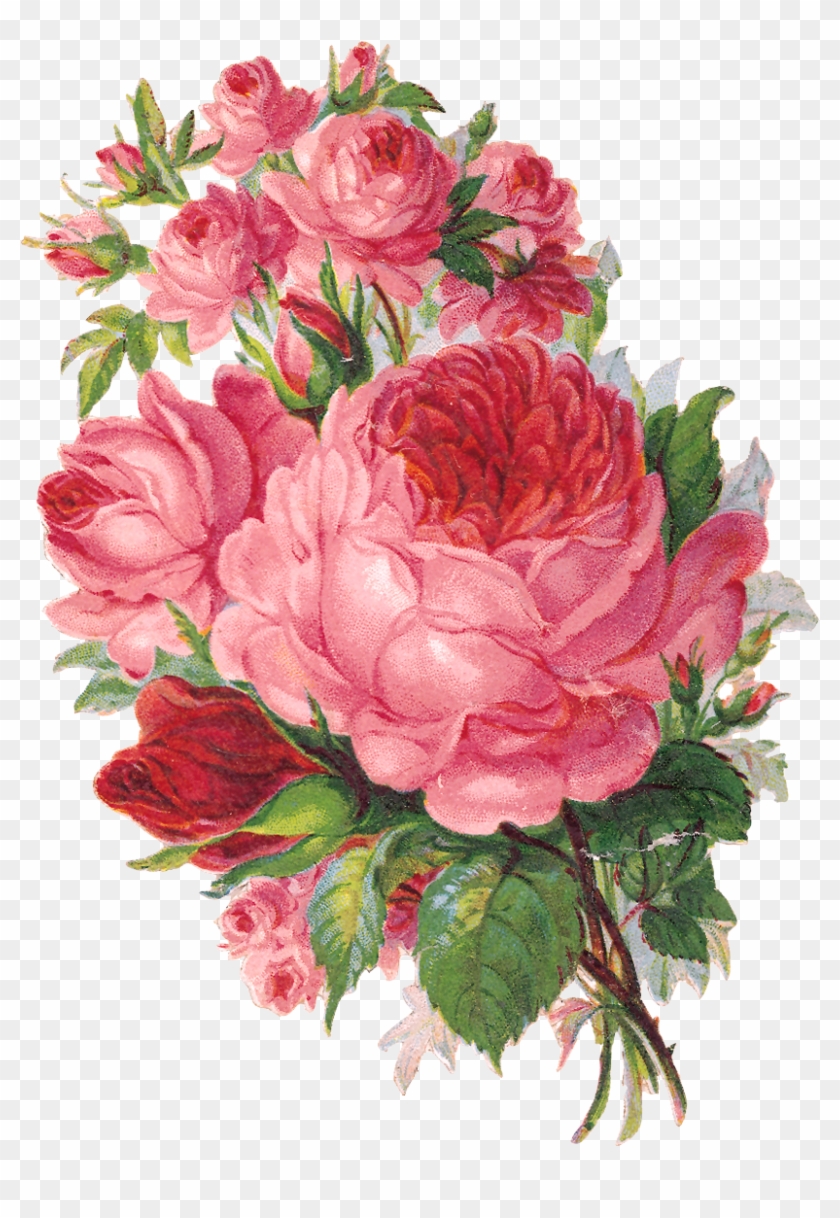 *toprak Ve Ahşap* - 3drose Llc 8 X 8 X 0.25 Inches English Roses Watercolor #436112