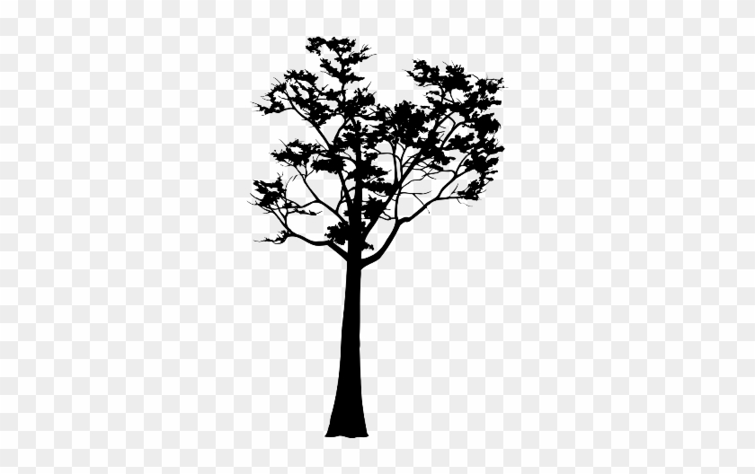 Trees Silhouette Png Деревья - Силуэты Деревья Пнг #436190