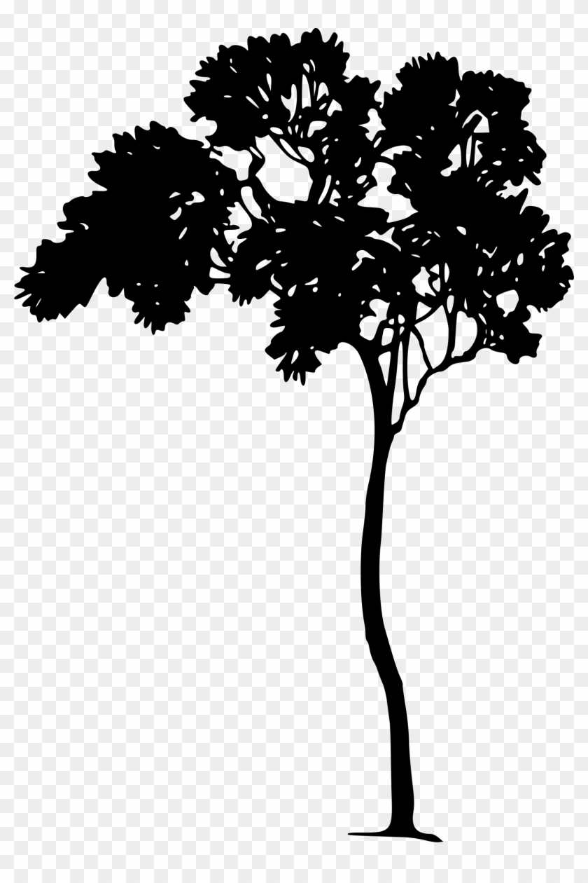 African Tree Silhouette Png For Kids - Soulsplitting [book] #436193