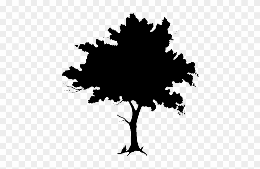 African Tree Silhouette Png For Kids - Clip Art Tree Silhouette #436194