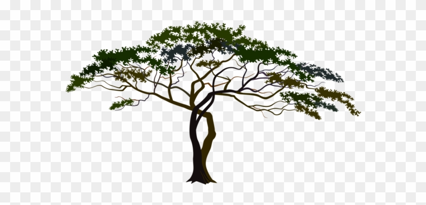 Pin African Tree Clipart - Savana Tree Png #436215